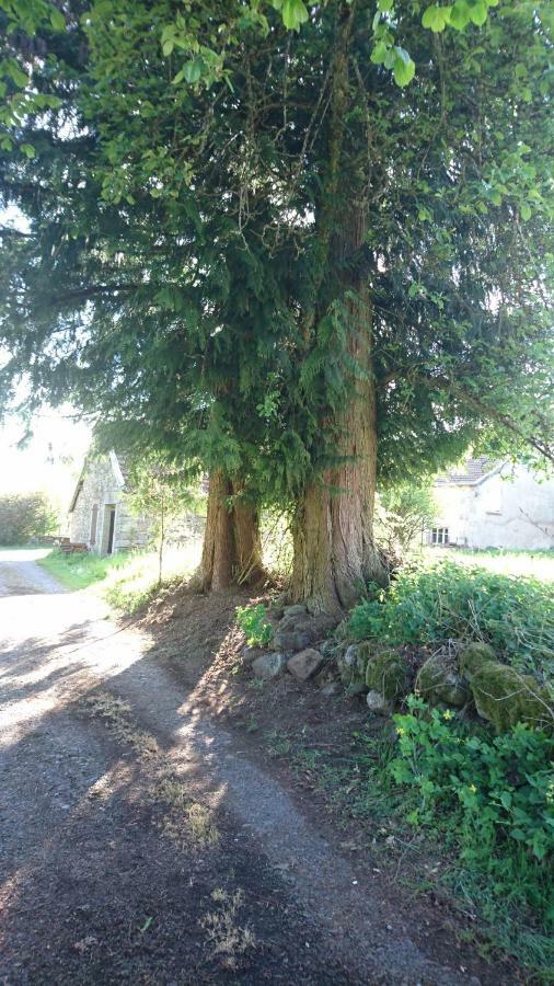 Villa Ferme De La Grange Du Bas à Saint-Bresson Extérieur photo
